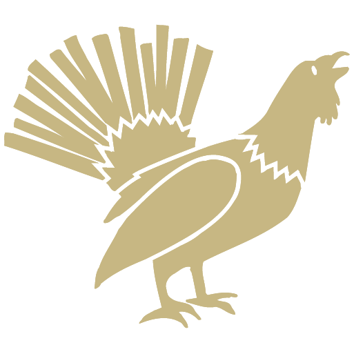 CC-Logo-SQ-512