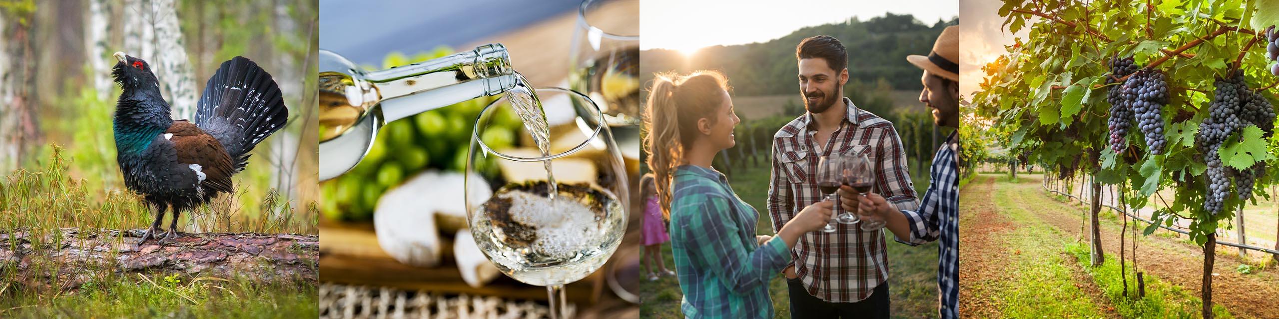 Wine-Tasting-Hero-2560