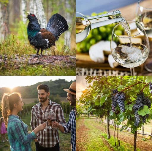 Wine-Tasting-Hero-500